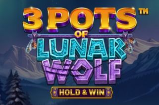 Icône de la fente 3 Pots of Lunar Wolf