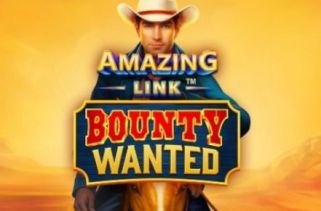 Icône de la fente Amazing Link Bounty Wanted