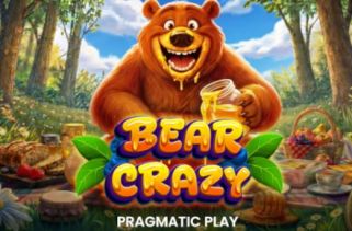 Icône de la fente Bear Crazy
