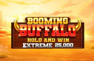 Icône de la fente Booming Buffalo Hold and Win Extreme 25000