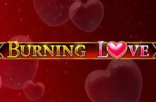Icône de la fente Burning Love