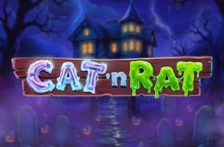 Icône de la fente Cat n Rat