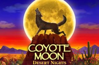 Icône de la fente Coyote Moon Desert Nights