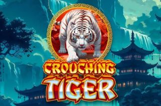 Icône de la fente Crouching Tiger