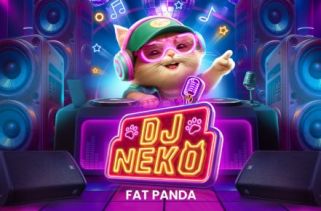 Icône de la fente DJ Neko