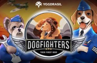 Icône de la fente Dogfighters - Their Finest Hour