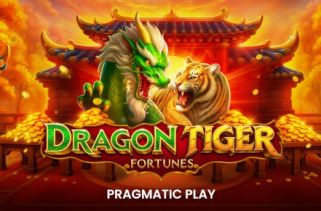 Icône de la fente Dragon Tiger Fortunes