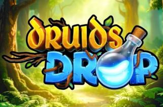 Icône de la fente Druids Drop