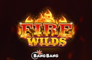 Icône de la fente Fire Wilds