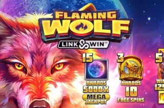 Icône de la fente Flaming Wolf Link & Win