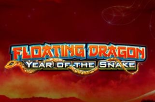 Icône de la fente Floating Dragon Year of the Snake
