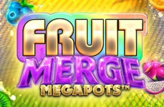 Icône de la fente Fruit Merge Megapots