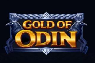 Icône de la fente Gold of Odin