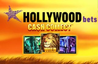 Icône de la fente Hollywood Bets Cash Collect