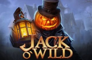 Icône de la fente Jack O Wild