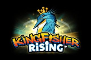 Icône de la fente Kingfisher Rising