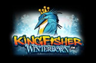 Icône de la fente Kingfisher Winterborn