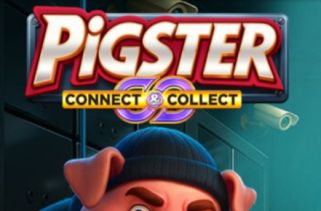 Icône de la fente Pigster