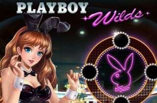 Icône de la fente Playboy Wilds