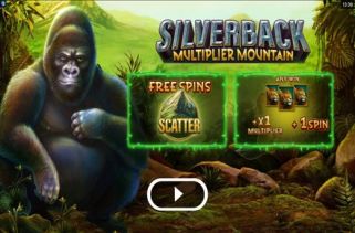 Icône de la fente Silverback: Multiplier Mountain