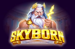 Icône de la fente Skyborn