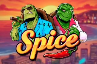 Icône de la fente Spice