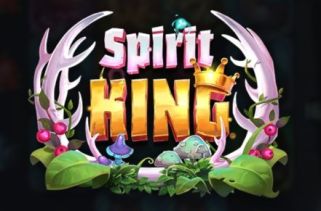 Icône de la fente Spirit King