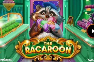 Icône de la fente The Racaroon