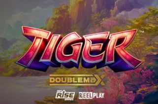 Icône de la fente Tiger DoubleMax