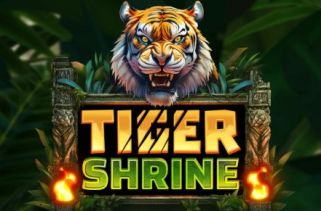Icône de la fente Tiger Shrine