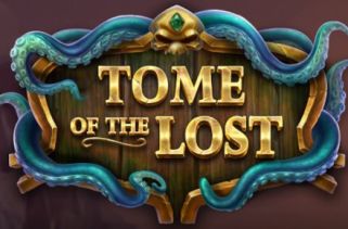 Icône de la fente Tome of the Lost