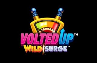 Icône de la fente VoltedUP WildSurge