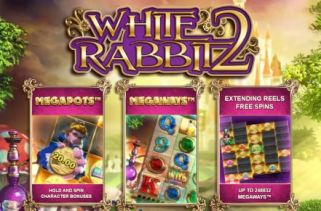 Icône de la fente White Rabbit 2