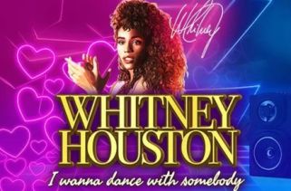 Icône de la fente Whitney Houston I Wanna Dance with Somebody