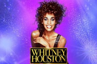 Icône de la fente Whitney Houston