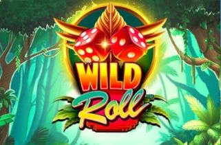 Icône de la fente Wild Roll