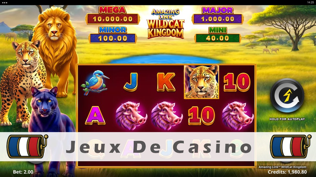 Démo de la machine à sous Amazing Link WildCat Kingdom