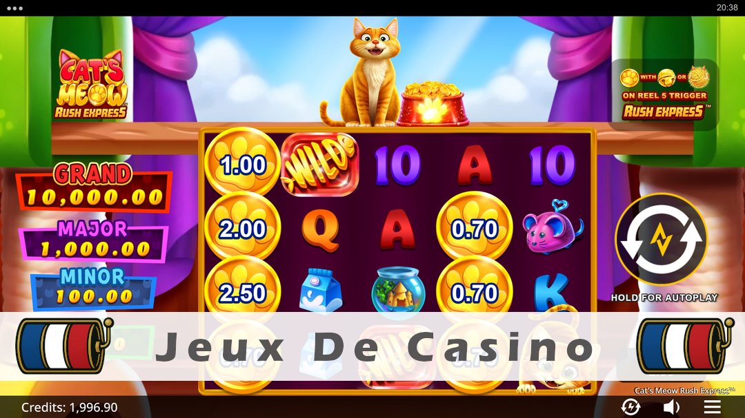 Démo de la machine à sous Cats Meow Rush Express