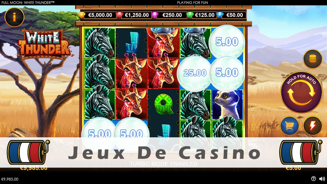 Démo de la machine à sous Full Moon White Thunder
