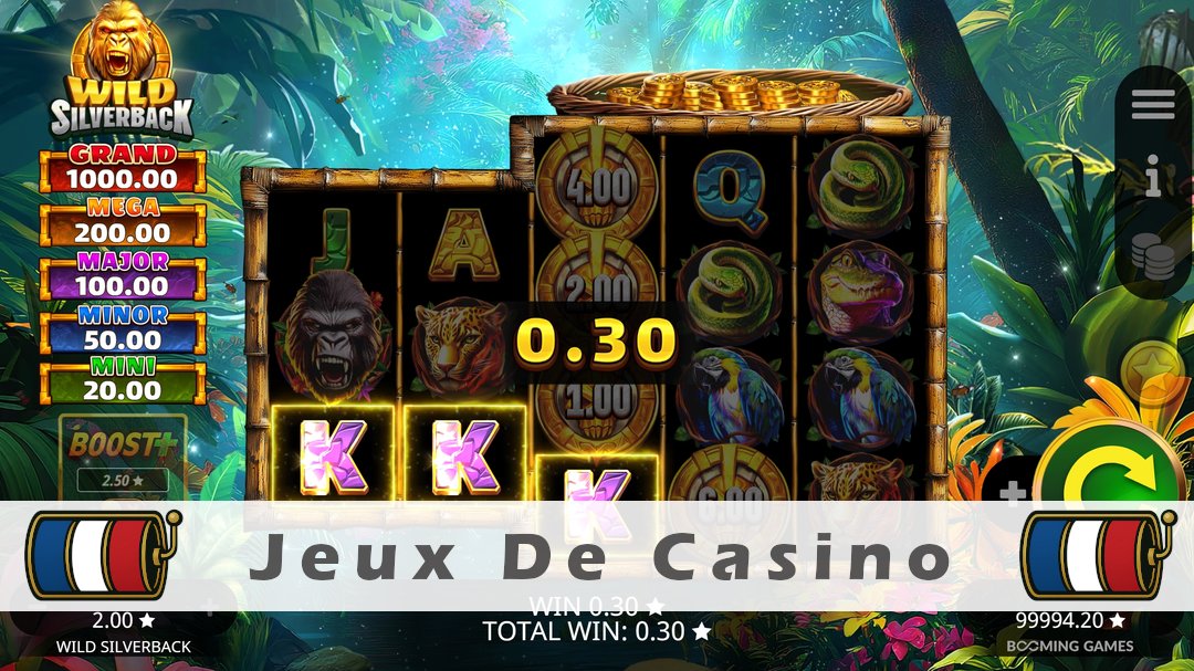 Démo de la machine à sous Wild Silverback